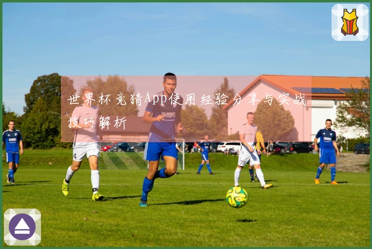 世界杯竞猜App使用经验分享与实战技巧解析