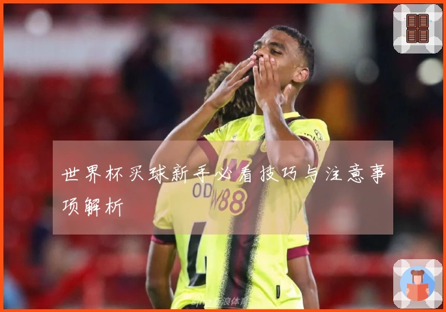 世界杯买球新手必看技巧与注意事项解析