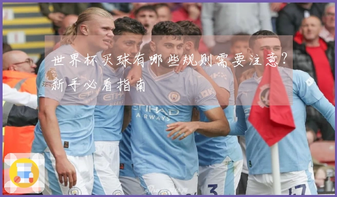世界杯买球有哪些规则需要注意？新手必看指南