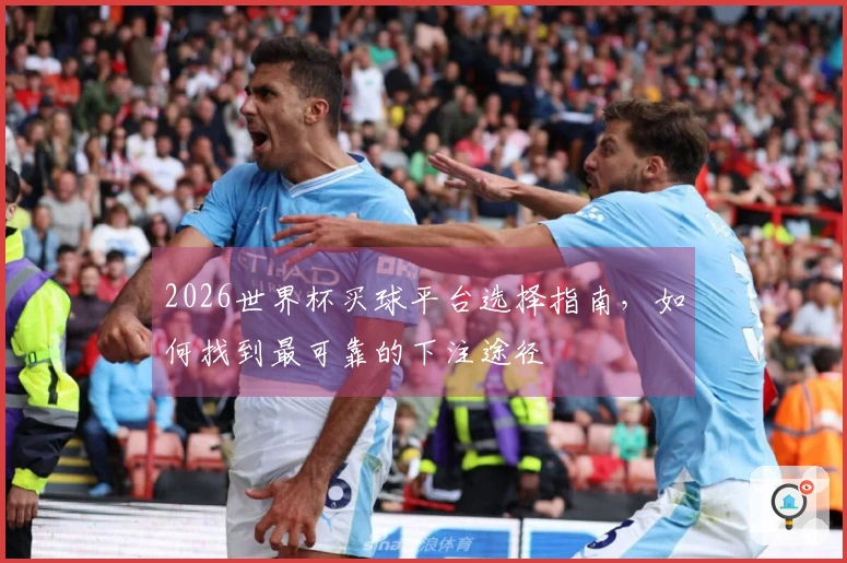 2026世界杯买球平台选择指南，如何找到最可靠的下注途径