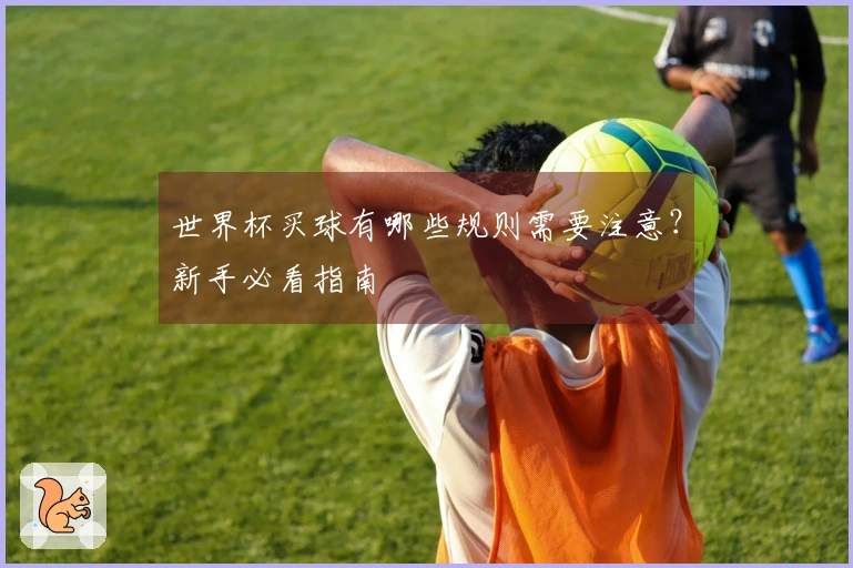 世界杯买球有哪些规则需要注意？新手必看指南