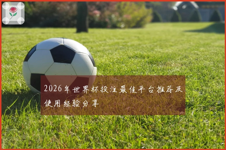 2026年世界杯投注最佳平台推荐及使用经验分享