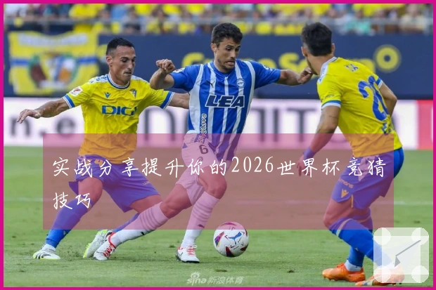 实战分享提升你的2026世界杯竞猜技巧
