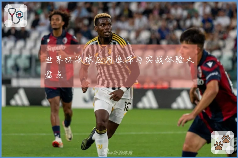 世界杯滚球应用选择与实战体验大盘点