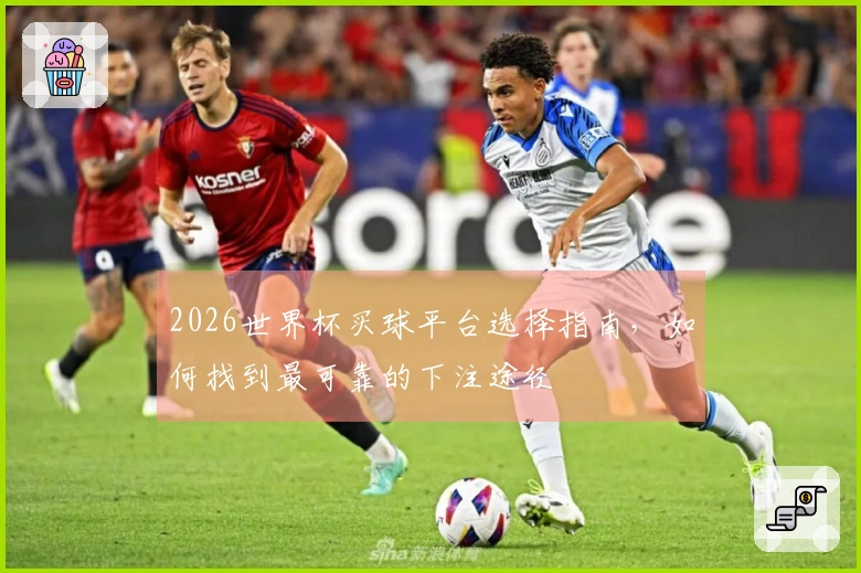 2026世界杯买球平台选择指南，如何找到最可靠的下注途径