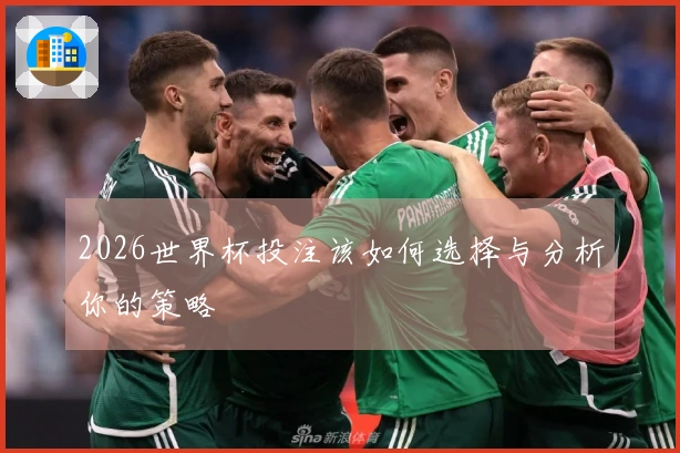 2026世界杯投注该如何选择与分析你的策略