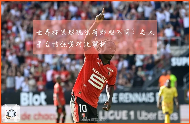 世界杯买球玩法有哪些不同？各大平台的优势对比解析