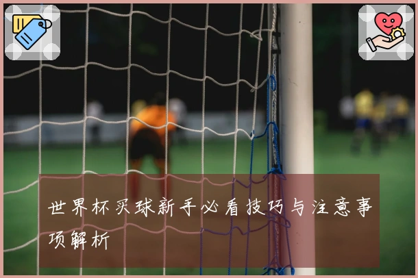 世界杯买球新手必看技巧与注意事项解析